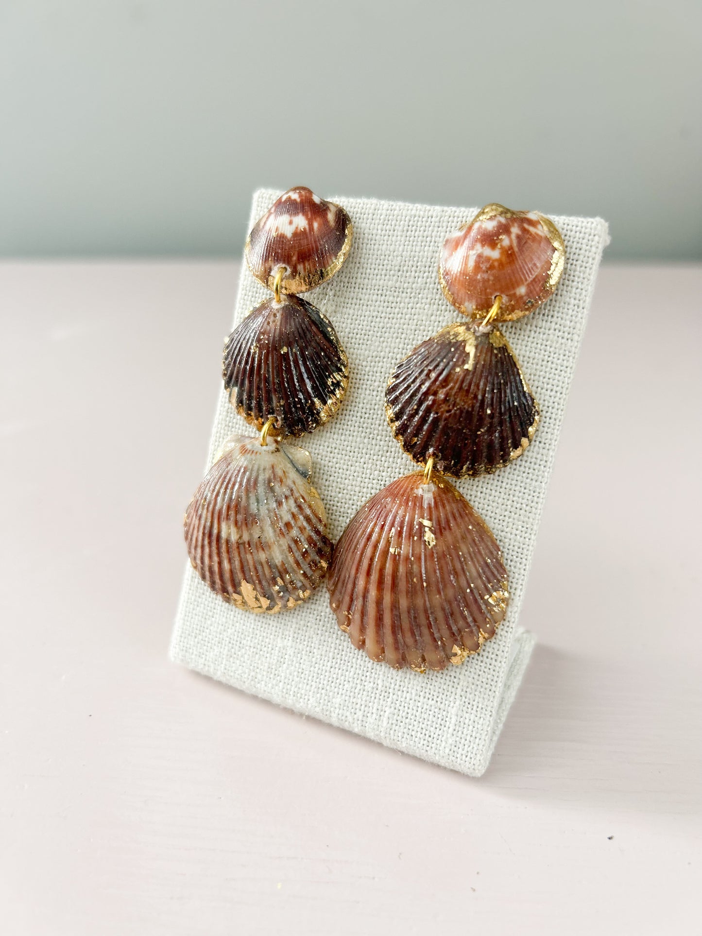 Bittersweet Clam and Scallop Brown Gorgeous Earrings
