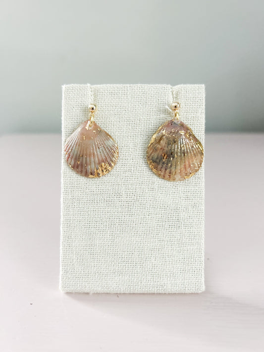 Scallop Shell Gold Stud Miss Americana Earrings