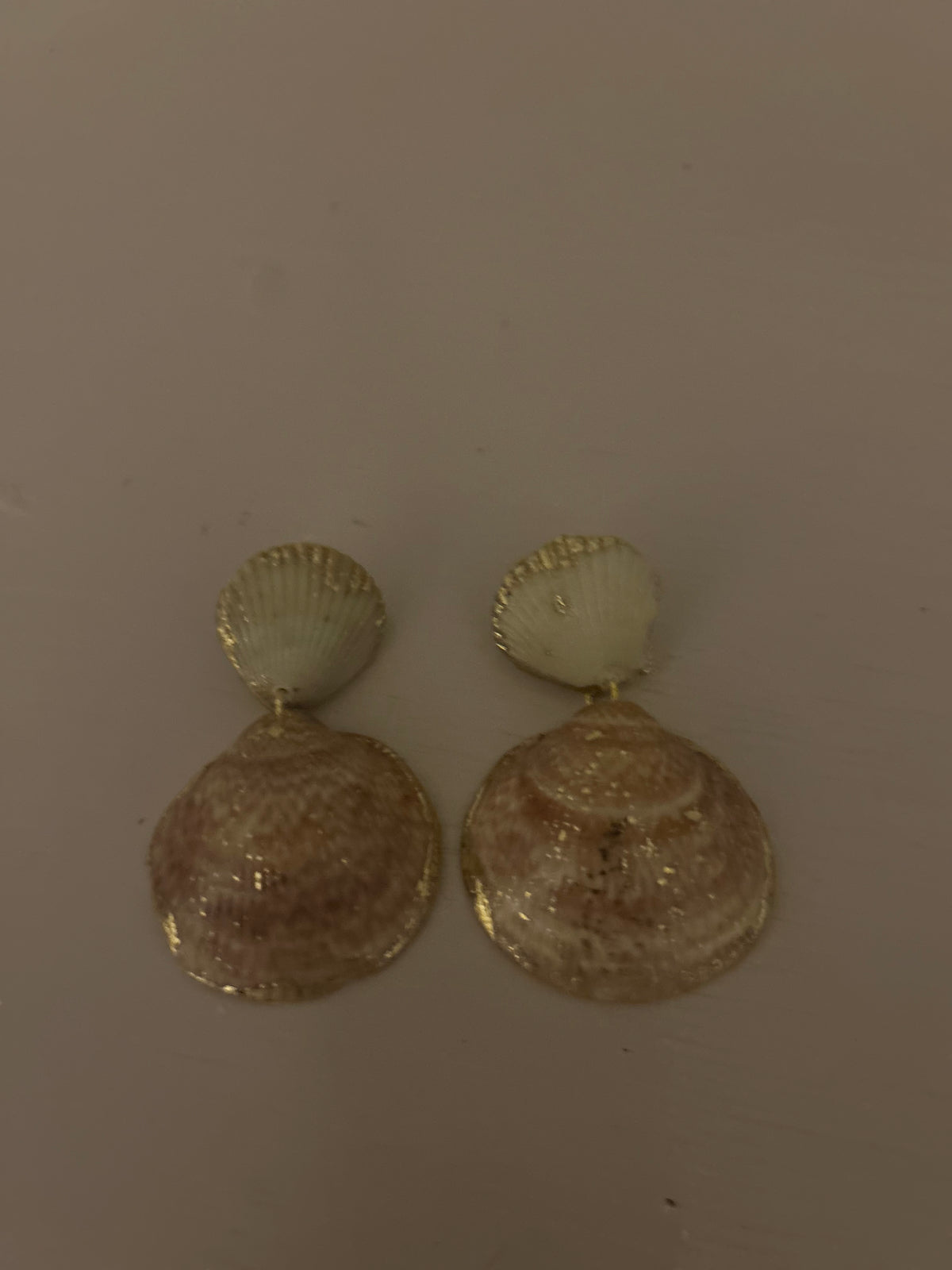 1 Bittersweet Clam Invisible String – Sacred Shells
