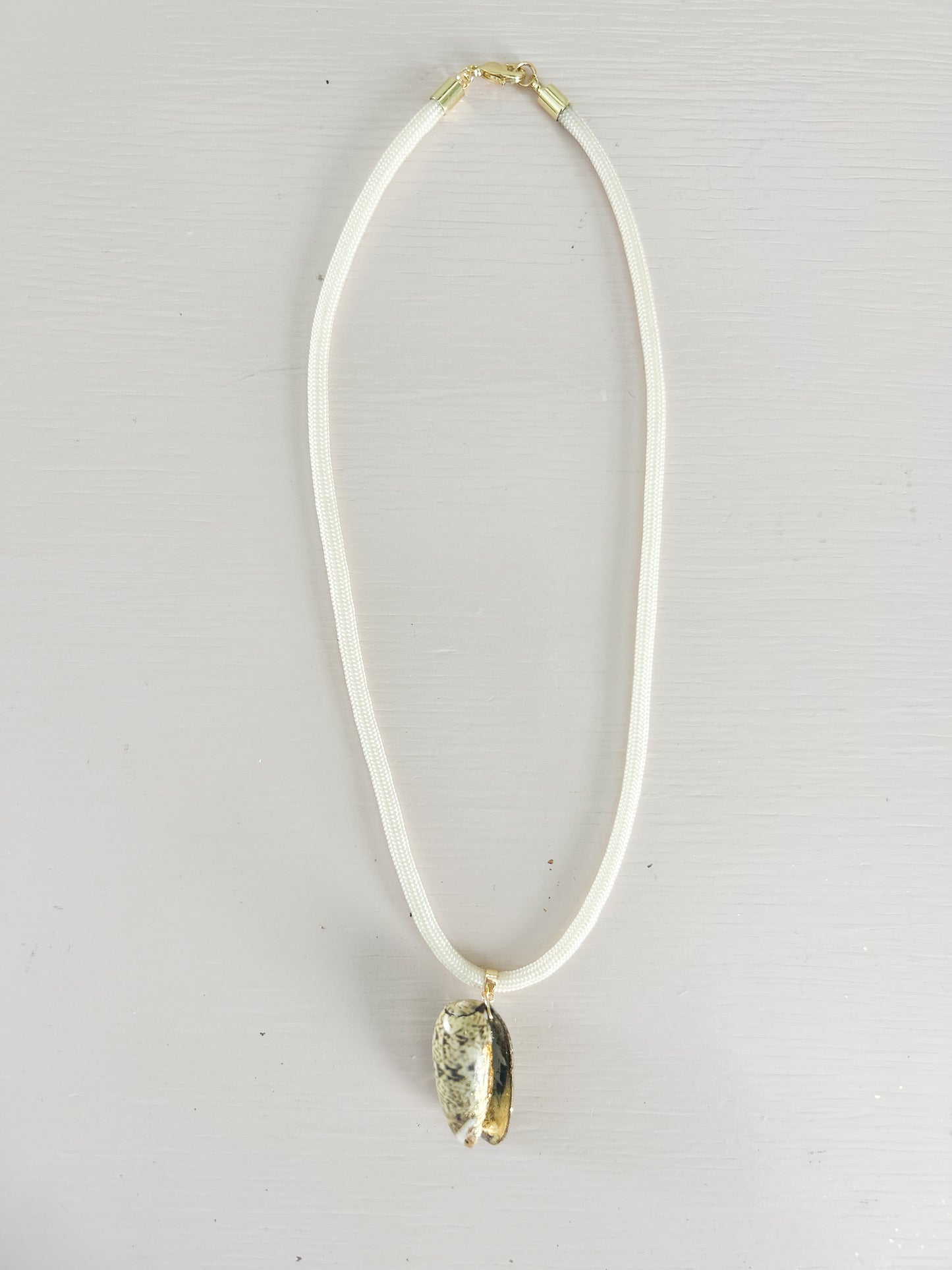 Olive Shell Fate of Ophelia Cord Necklace
