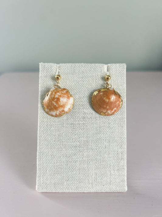Bittersweet Clam August Dangle Studs