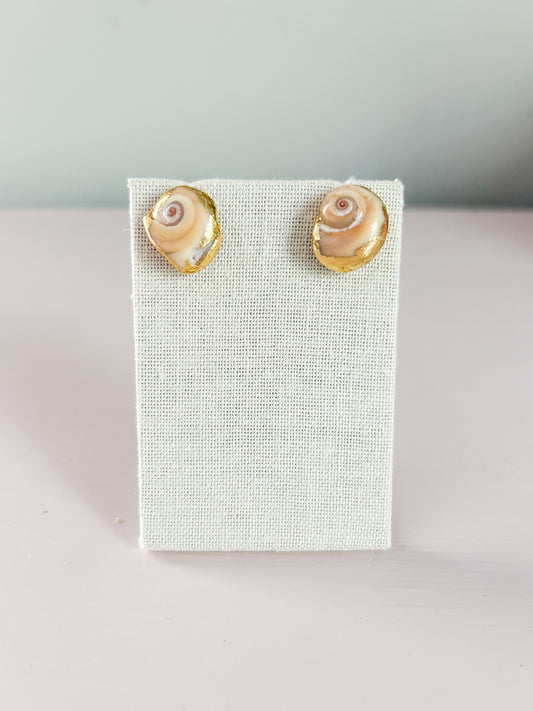 Small Conch Shell Studs