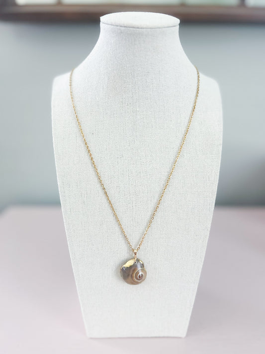 Conch Shell Necklace