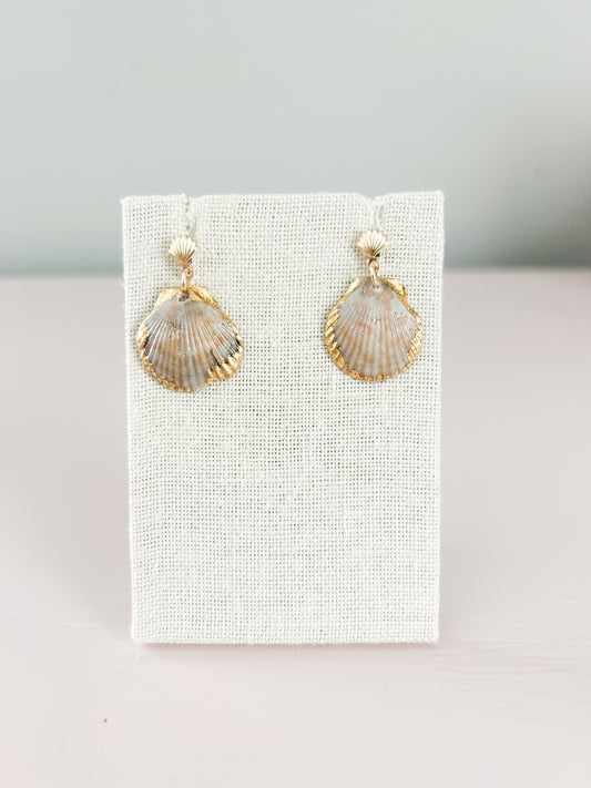 Scallop Shell Gold Stud Miss Americana Earrings