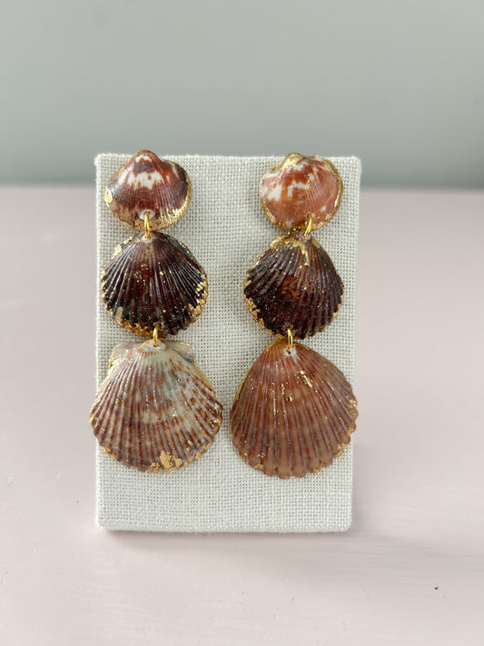 Bittersweet Clam and Scallop Brown Gorgeous Earrings